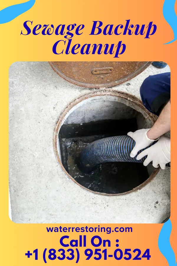 Sewage Backup Cleanup in Misenheimer, NC