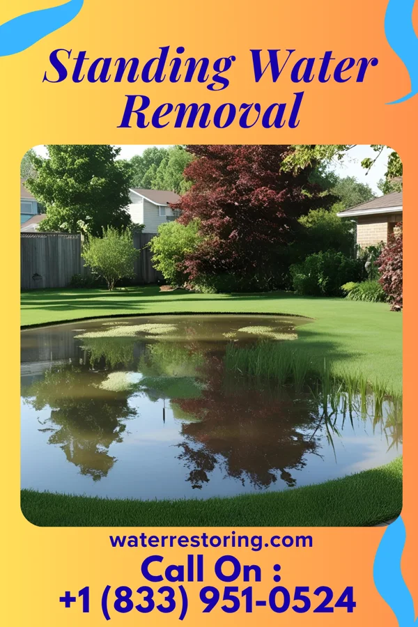 Standing Water Removal in Misenheimer, NC